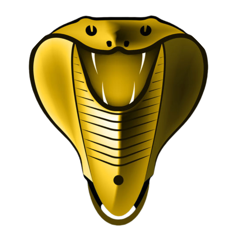 COBRA IPTV